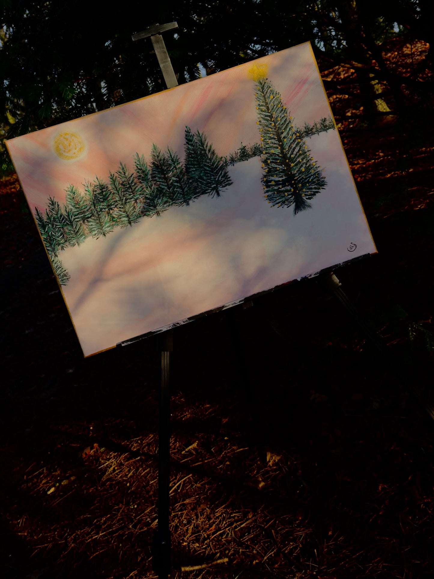 A Winters Dream